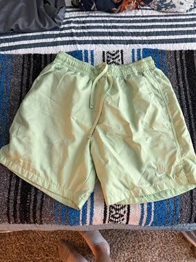 Nike Men’s Mint Green Swim Trunks